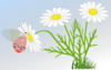 +bug+insect+flying+butterfly+on+flower+ clipart