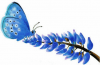 +bug+insect+flying+mission+blue+butterfly+ clipart
