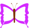 +bug+insect+flying+purple+butterfly+1+ clipart