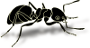 +bug+insect+pest+ant+bold+ clipart