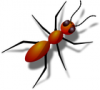 +bug+insect+pest+ant+reddish+ clipart