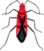 +bug+insect+pest+insect+bold+red+ clipart