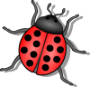 +bug+insect+pest+Lady+Bug+ clipart