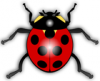 +bug+insect+pest+Ladybug+glossy+ clipart