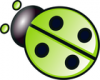 +bug+insect+pest+green+ladybug+ clipart