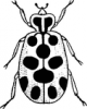 +bug+insect+pest+lady+bug+13+spotted+ clipart
