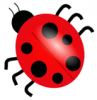+bug+insect+pest+ladybug+01+ clipart