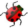 +bug+insect+pest+ladybug+ clipart