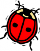 +bug+insect+pest+ladybug+red+ clipart