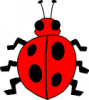 +bug+insect+pest+ladybug+red+black+ clipart