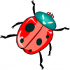 +bug+insect+pest+ladybug+red+green+head+ clipart