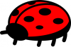 +bug+insect+pest+ladybug+simple+ clipart