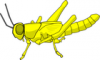 +bug+insect+pest+locust+yellow+ clipart