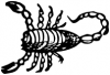 +bug+insect+pest+Scorpion+simple+ clipart