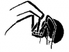 +spider+arachnid+bug+insect+pest+spider+3+ clipart