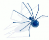 +spider+arachnid+bug+insect+pest+spider+ clipart