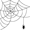 +spider+arachnid+bug+insect+pest+spiderweb+1+ clipart