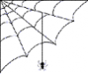 +spider+arachnid+bug+insect+pest+spiderweb+3+ clipart