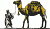 +animal+camel+being+led+ clipart