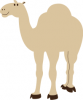 +animal+camel+grinning+ clipart