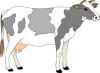 +animal+cow+03+ clipart