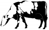 +animal+farm+livestock+Cow+silhouette+02+ clipart