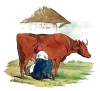+animal+farm+livestock+milking+cow+ clipart