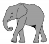 +animal+mammal+Elephantidae+Elephant+walking+small+tusks+ clipart