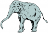 +animal+mammal+Elephantidae+elephant+no+tusks+ clipart