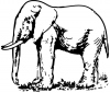 +animal+mammal+Elephantidae+elephant+sketch+ clipart