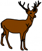 +animal+Cervidae+deer+basic+ clipart