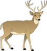 +animal+Cervidae+deer+large+rack+ clipart
