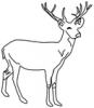 +animal+Cervidae+deer+lineart+ clipart