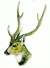 +animal+Chital+(Spotted+Deer)+head+ clipart