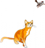 +feline+animal+cartoon+cat+watching+bird+ clipart