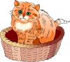 +feline+animal+cat+in+a+basket+ clipart