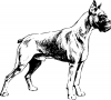 +animal+canine+canid+dog+Boxer+BW+ clipart