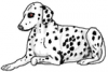 +animal+canine+canid+dog+cartoon+dalmatian+lying+down+ clipart