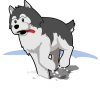 +animal+canine+canid+husky+running+in+snow+ clipart