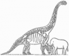 +animal+extinct+Dinosaur+Elephant+size+ clipart