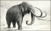 +animal+extinct+wooly+mammoth+ clipart