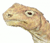 +extinct+dinosaur+jurassic+Abrosaurus+head+ clipart