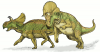 +extinct+dinosaur+jurassic+Avaceratops+dinosaur+ clipart