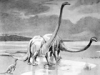 +extinct+dinosaur+jurassic+Diplodocus+BW+ clipart