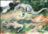 +extinct+dinosaur+jurassic+Dryptosaurus+fighting+ clipart