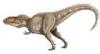 +extinct+dinosaur+jurassic+Giganotosaurus+ clipart