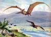 +extinct+dinosaur+jurassic+Pteranodon+flying+ clipart