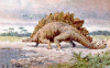 +extinct+dinosaur+jurassic+Stegosaurus+3+ clipart