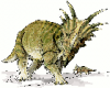 +extinct+dinosaur+jurassic+Styracosaurus+dinosaur+ clipart