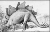 +extinct+dinosaur+jurassic+stegosaurus+sketch+ clipart